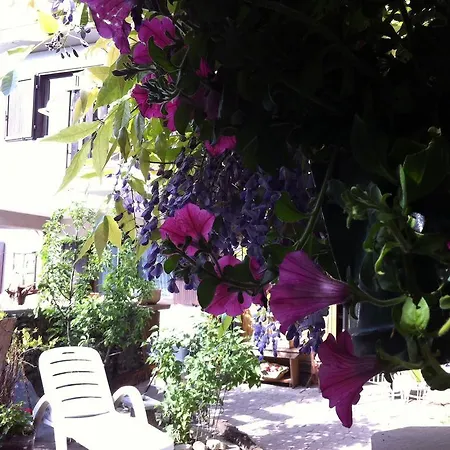 Bed & Breakfast Josy *